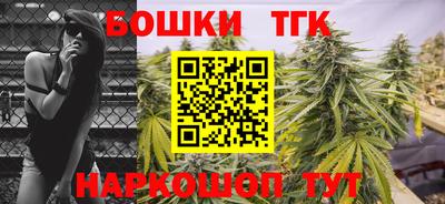 гашик Кулебаки