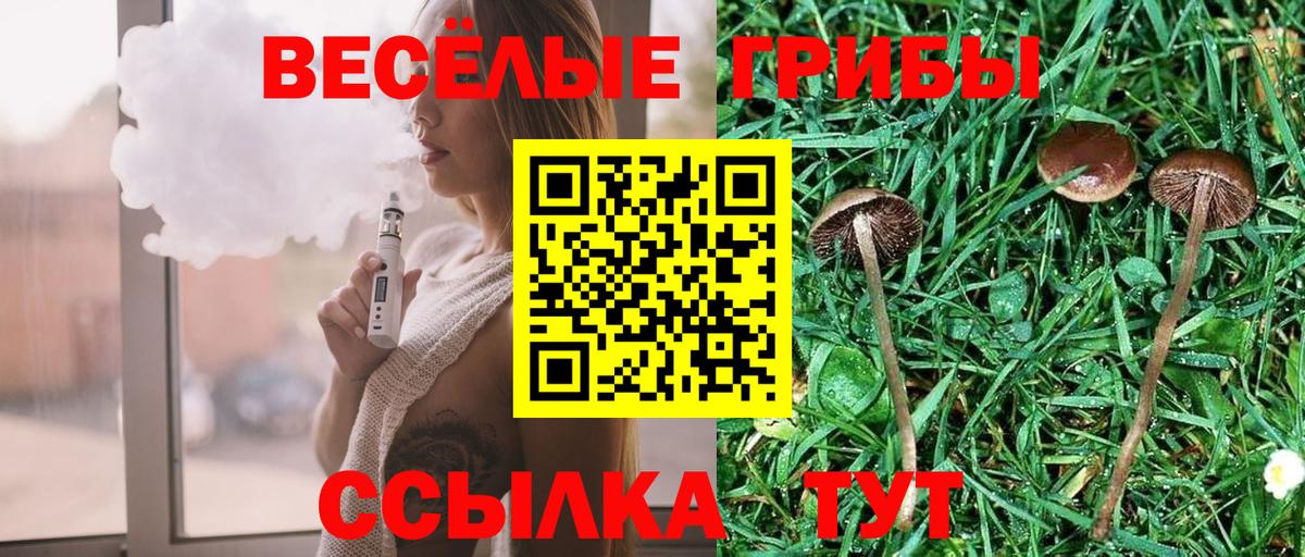 Галлюциногенные грибы мухоморы  Галлюциногенные грибы Psilocybe  купить наркотики цена  Вход с VPN  Котовск 